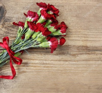 Carnation Bordo  